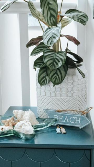 The Sea Loft Castlerock. Apartment Luaran gambar